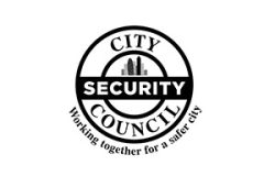 security-council